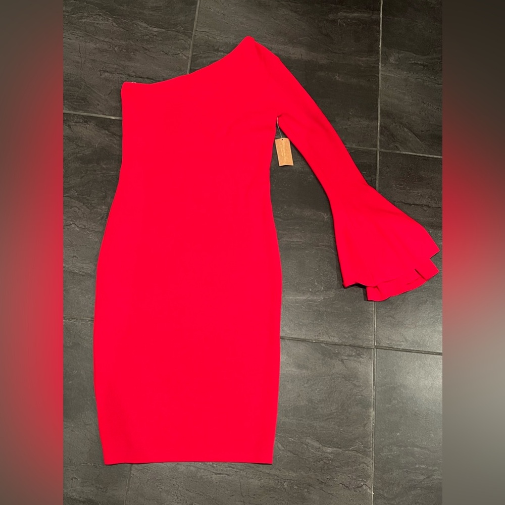 NWT Red Rachel Roy Bell Sleeve Bodycon Dress